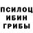 Псилоцибиновые грибы Cubensis elvin goyusov
