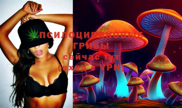 2c-b Алексеевка