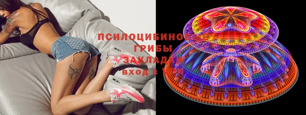 тгк Алзамай