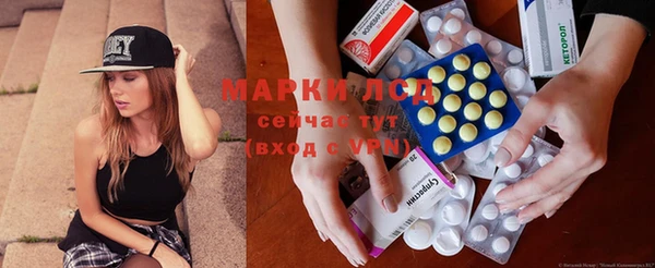 тгк Алзамай
